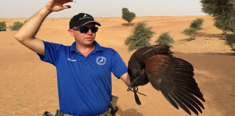 Drones Used in Training and Understanding Falcons