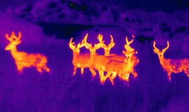 Infrared Images