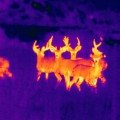 Infrared Images