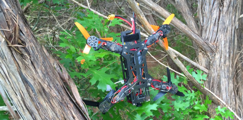 Drone In A Tree