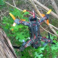 Drone In A Tree