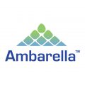 Ambarella Logo 2